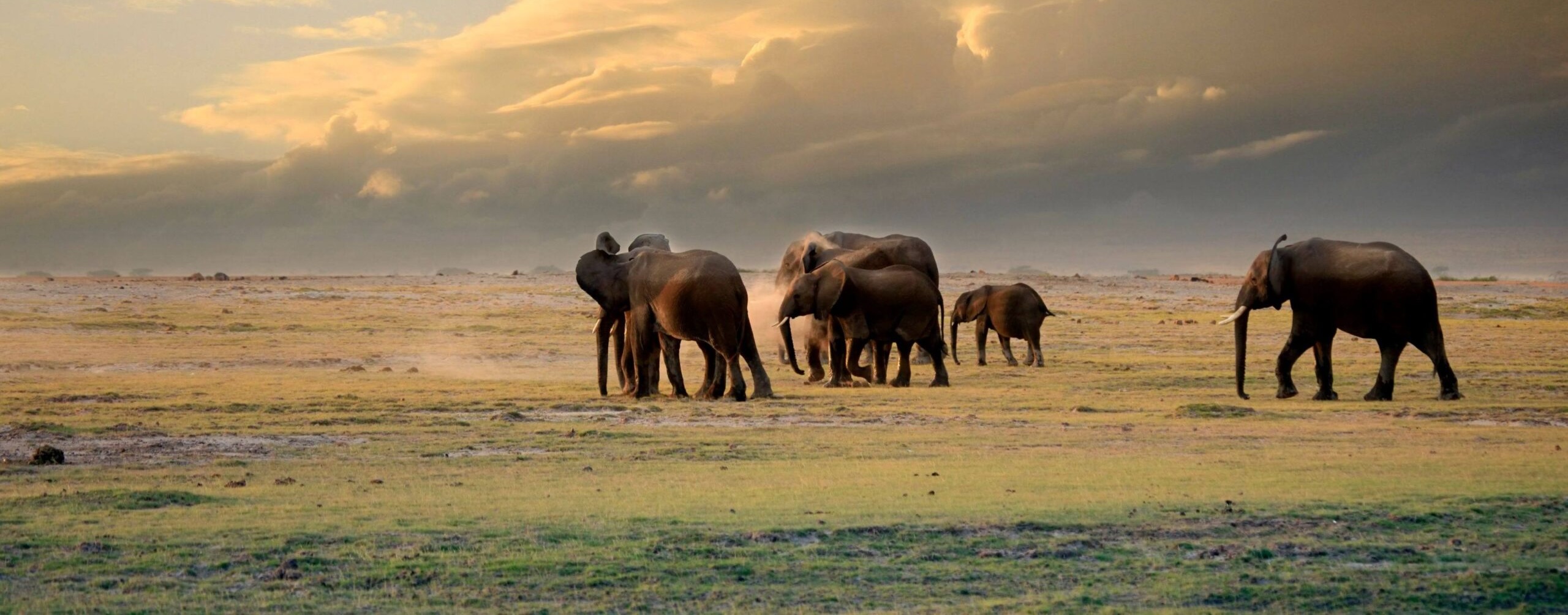 14 dagen Kenia: go south – 5 parken, een treinrit en paradijselijke stranden