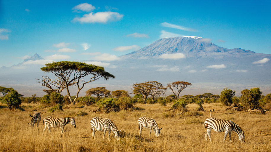18 dagen safari en strand – Zo heb je veel van alles