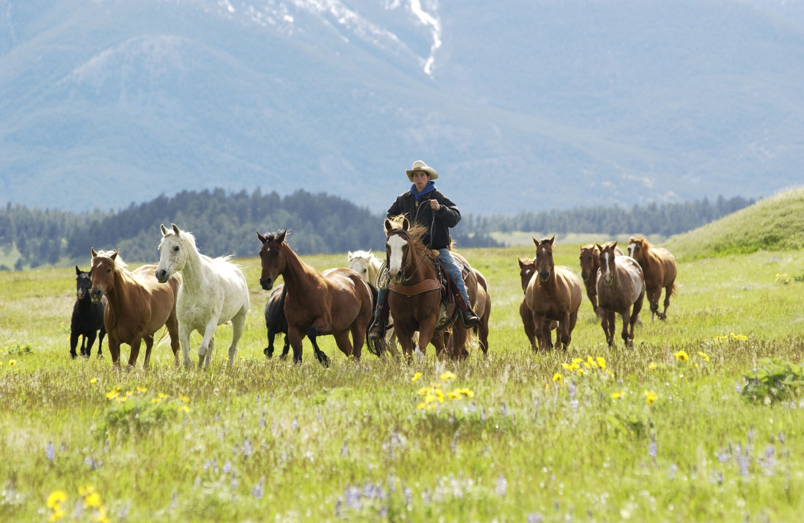Pacific Northwest en de Rockies