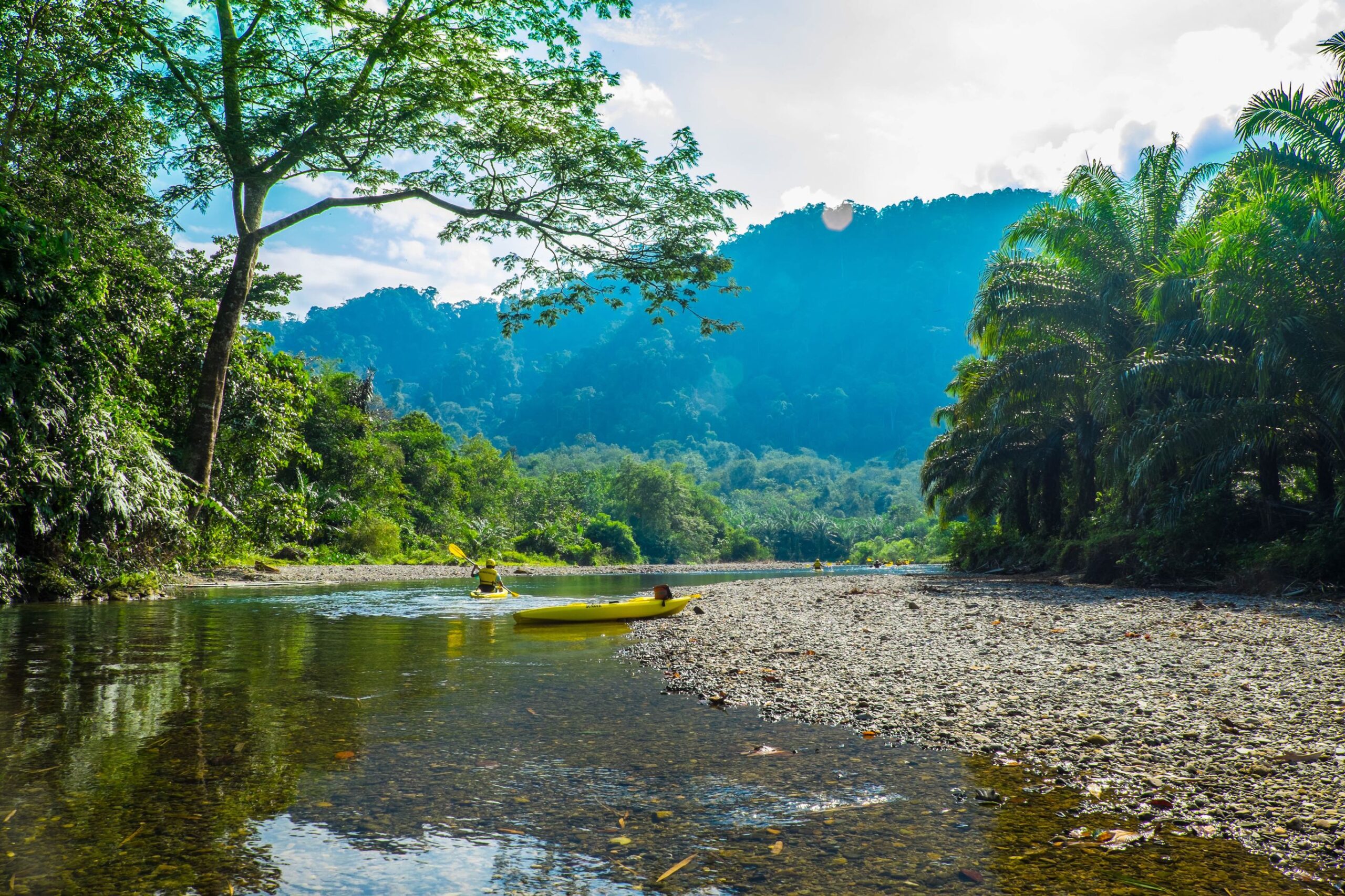 Orang-oetans en lokale stammen op Sumatra