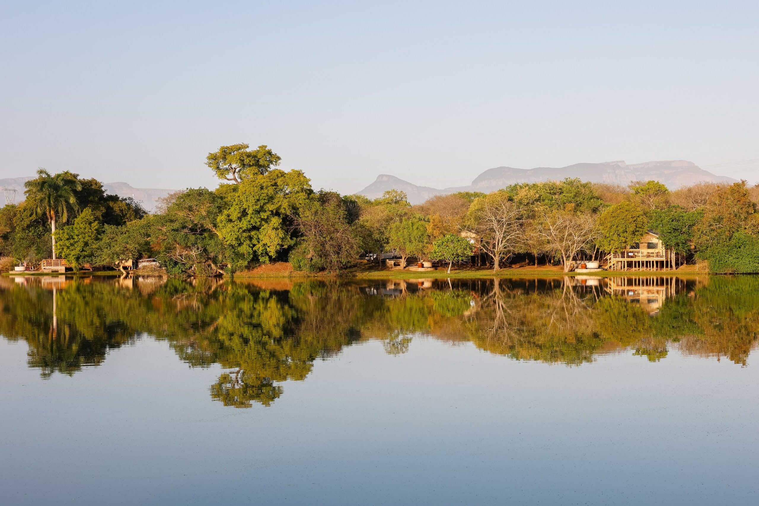 Big 5 Zuid-Afrika in 2 weken