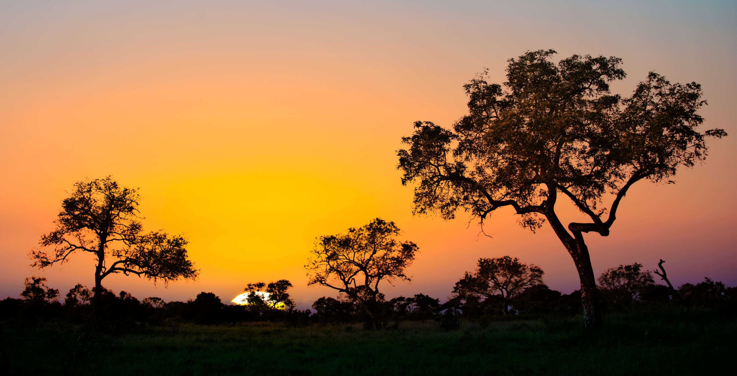 5 dagen Zuid-Afrika: avonturen in Kruger