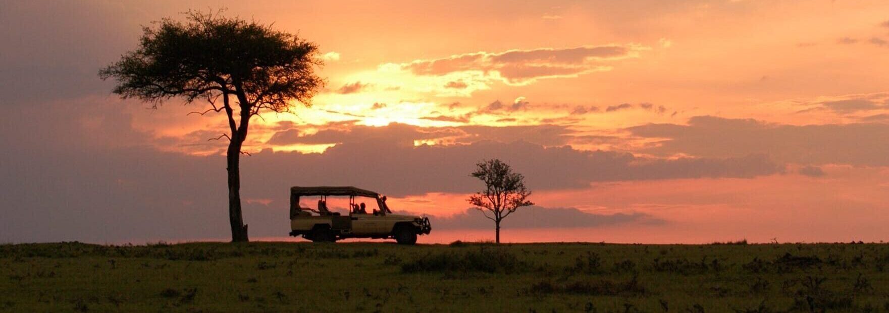 15 dagen Kenia safari: tien parken op rij