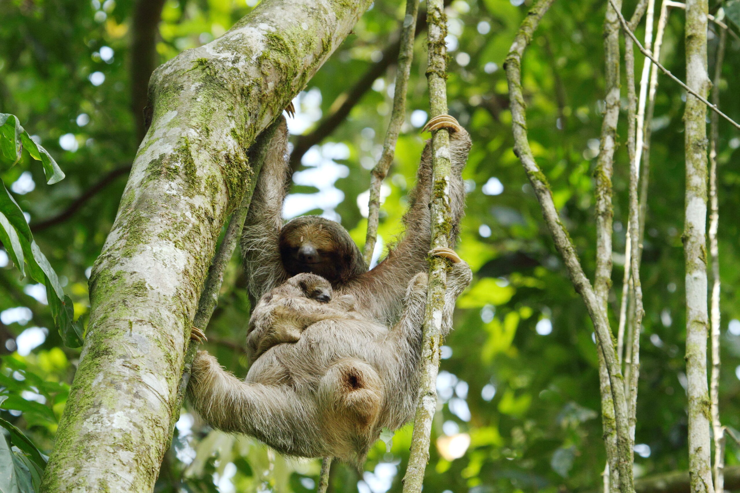 Pura Vida in Costa Rica met het gezin