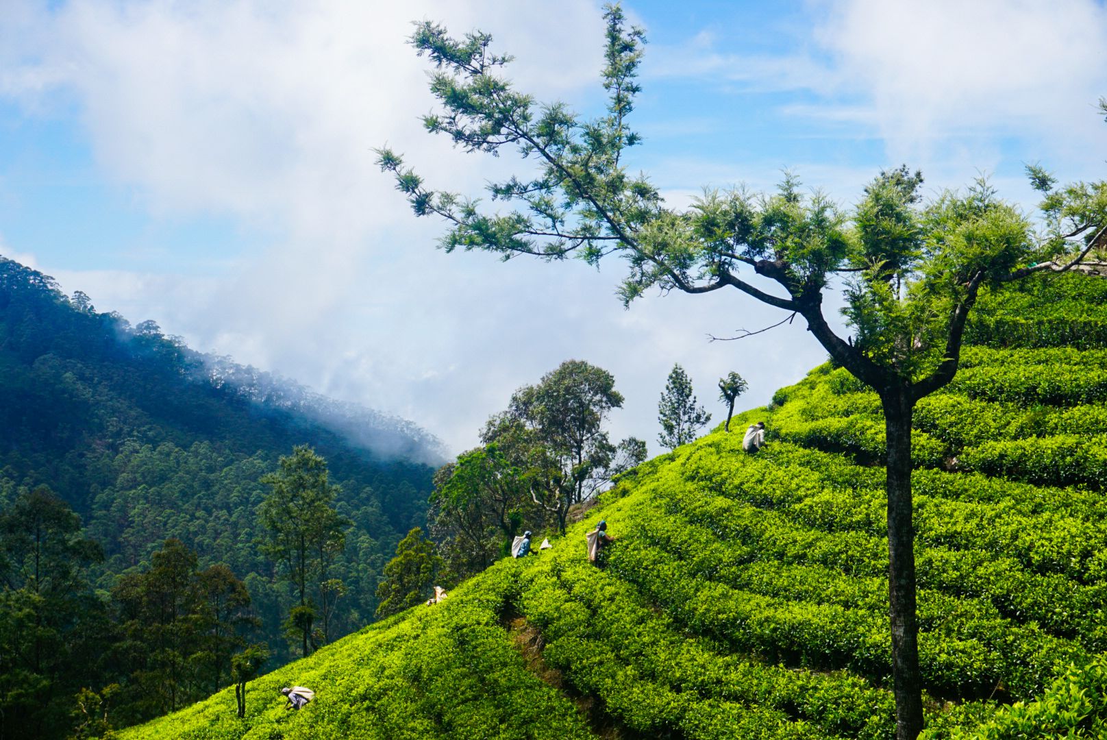 Kennismaking Sri Lanka met kinderen