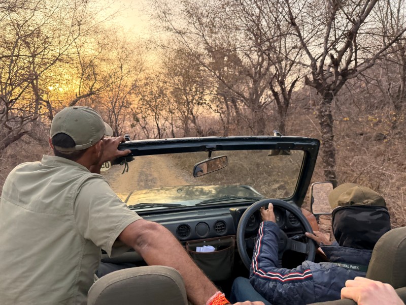 3 weken in Rajasthan
