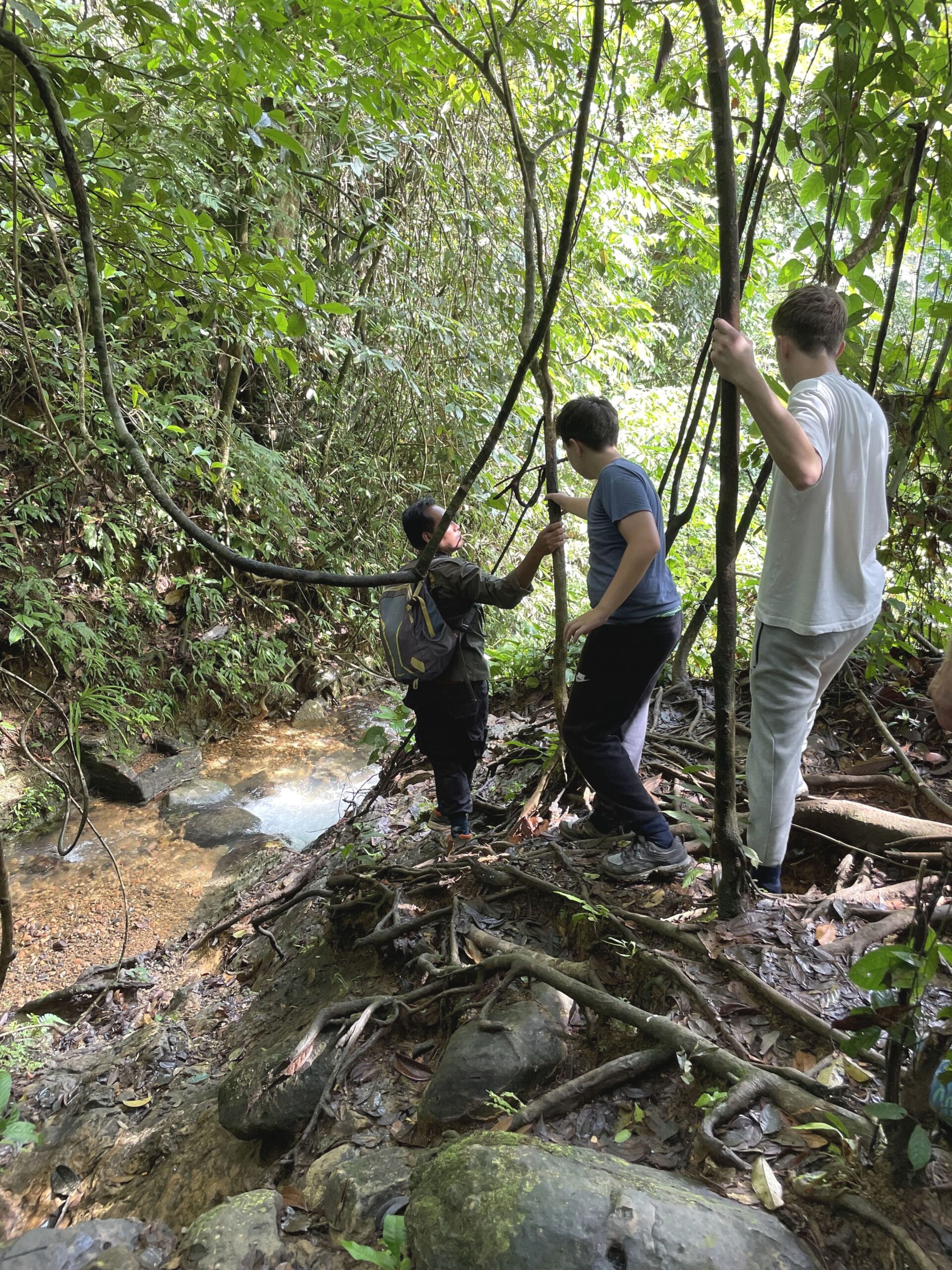 Orang-oetans en lokale stammen op Sumatra