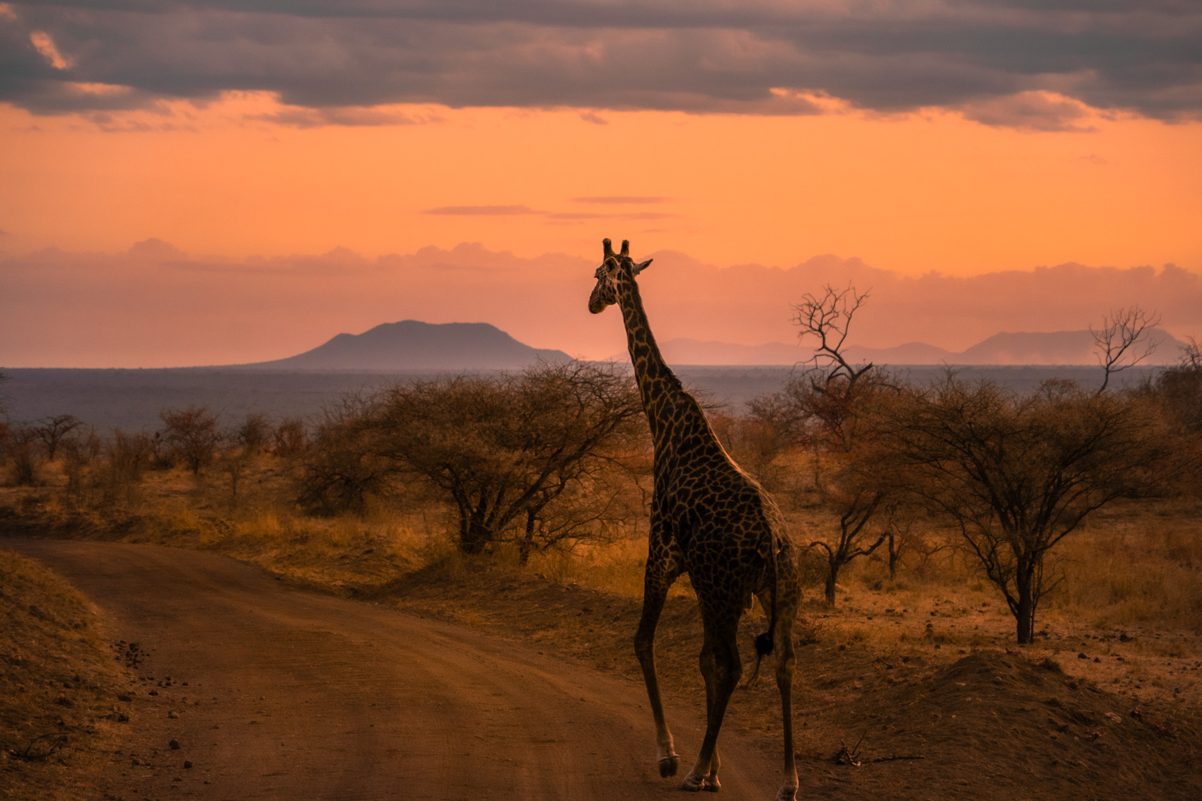 12 dagen safari & strand – De perfecte reis voor jou om te genieten – 100% rolstoelvriendelijk