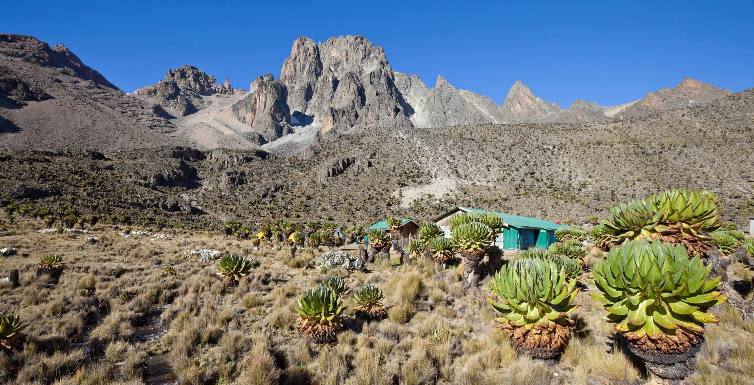 6 dagen Mount Kenya beklimmen: Sirimon route