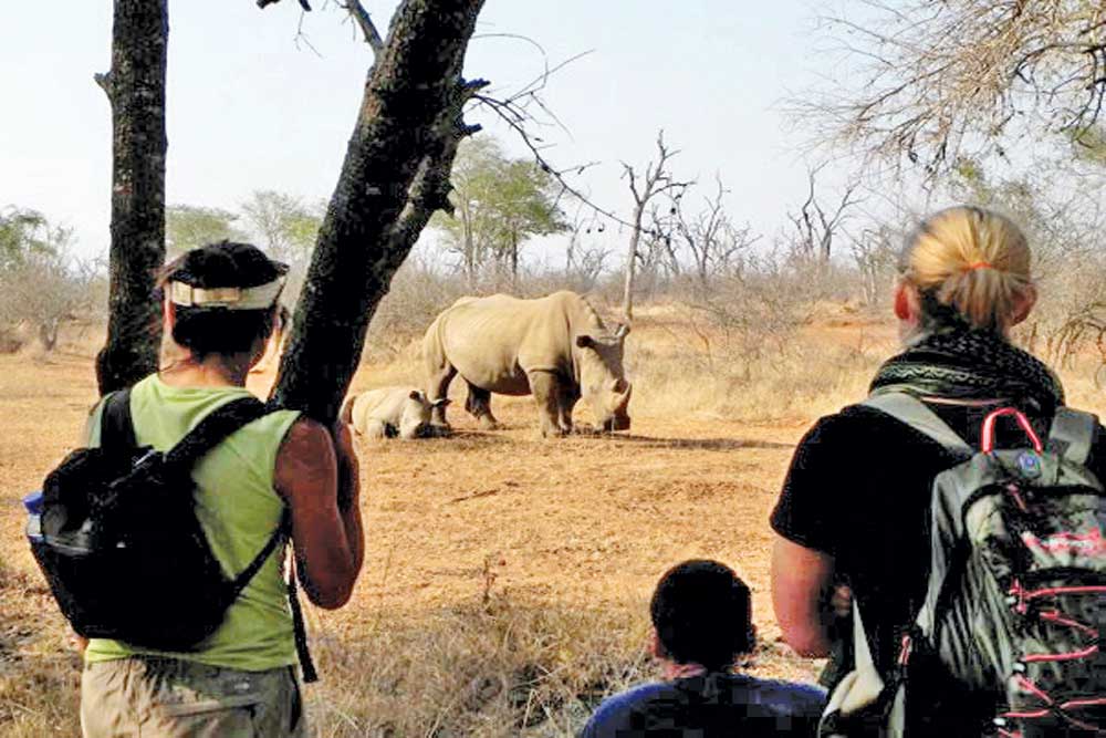 16 daagse Botswana Wildlife camping groepssafari