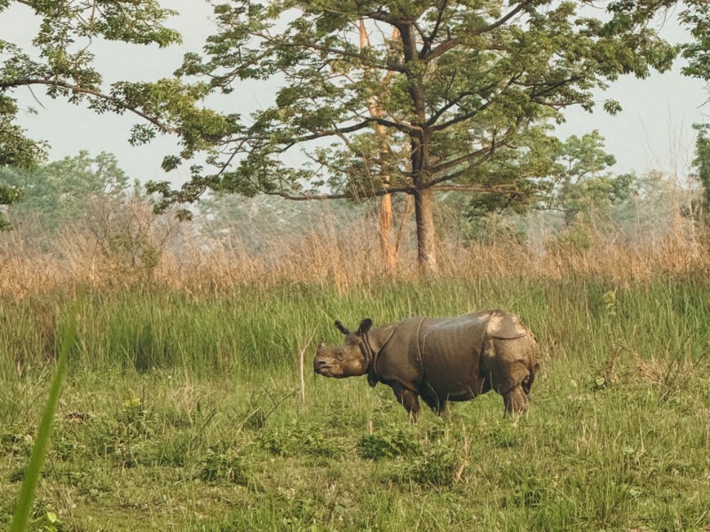 Nepal volgens Riksja