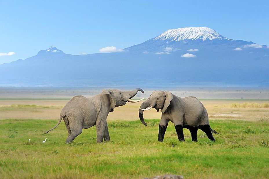 Rondreis Kenia en Tanzania