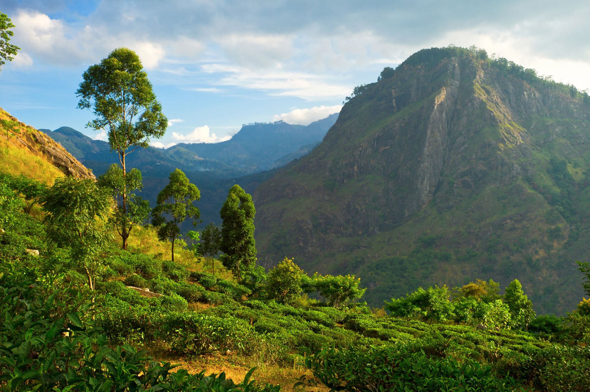 22-35ers reis Sri Lanka