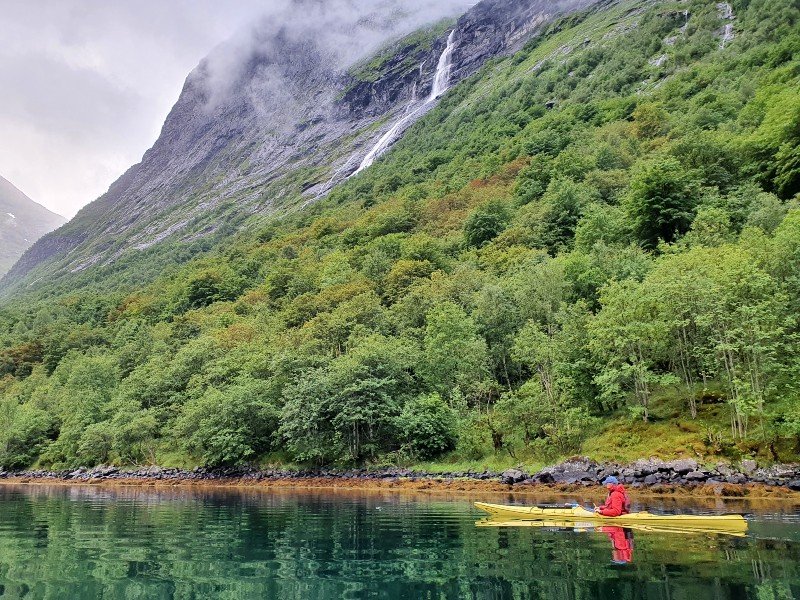 Into the Wild