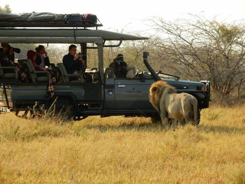 Namibië en Botswana – compleet