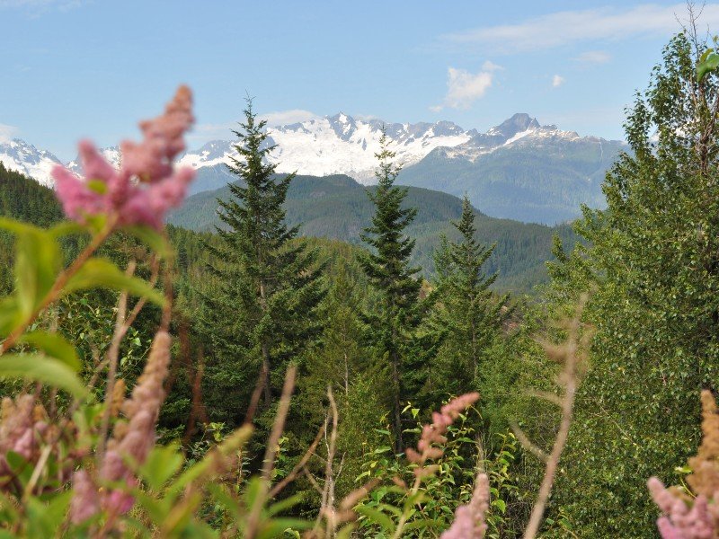 Wildlife en Wildernis in West-Canada