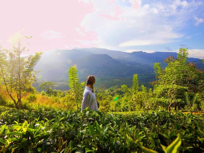 Rondreis Sri Lanka en Malediven